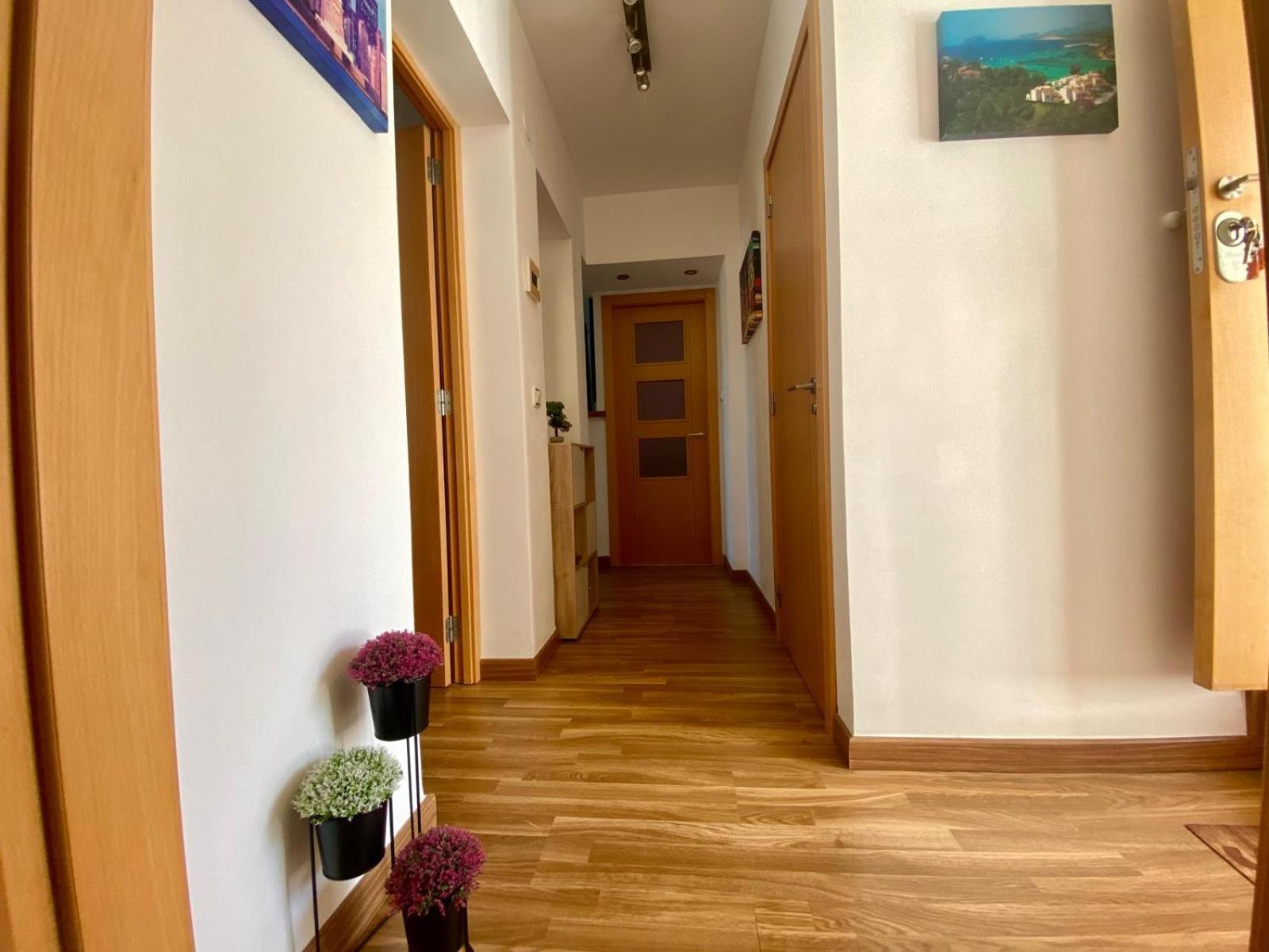 Apartamento Monica カルプ エクステリア 写真